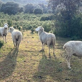 fotonoticia_20250805181416_1920