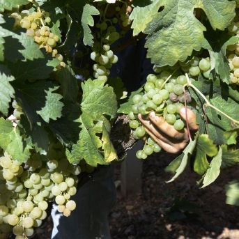 fotonoticia_20250805182248_1920 fotonoticia_20250805182248_1920