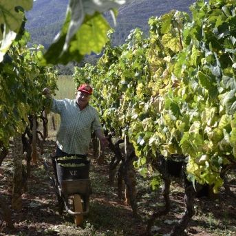 fotonoticia_20250806101913_1920