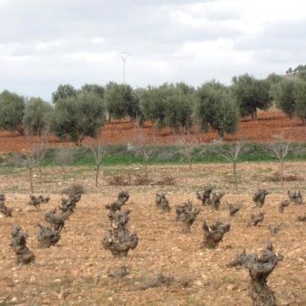 fotonoticia_20250807133807_1920