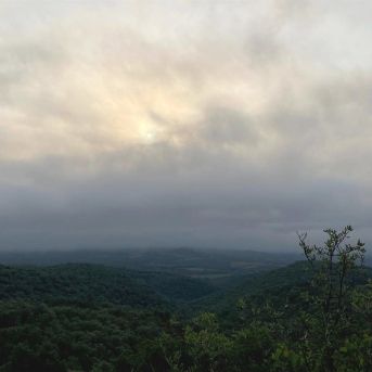 fotonoticia_20250807165819_1920 fotonoticia_20250807165819_1920