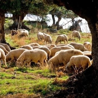 fotonoticia_20250808114029_1920