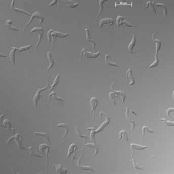 fotonoticia_20250808171251_1920