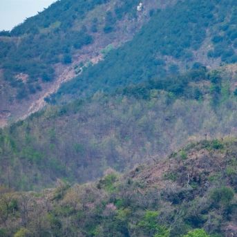 fotonoticia_20250809142157_1920