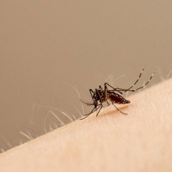 fotonoticia_20250811123203_1920