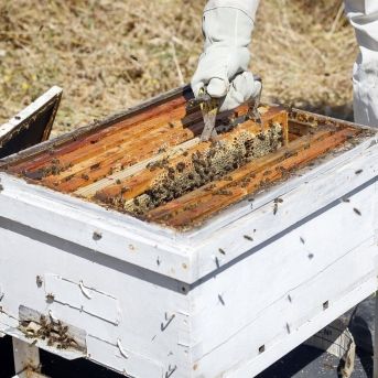 fotonoticia_20250811132538_1920 fotonoticia_20250811132538_1920