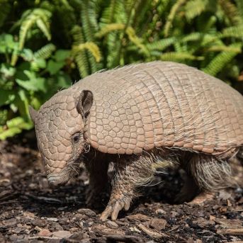 fotonoticia_20250811161926_1920 fotonoticia_20250811161926_1920