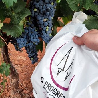 fotonoticia_20250812113606_1920 fotonoticia_20250812113606_1920