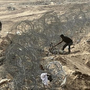 fotonoticia_20250812150305_1920