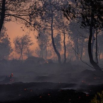 fotonoticia_20250812183742_1920