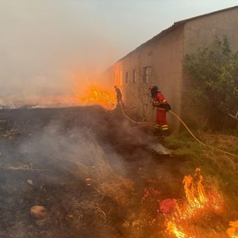 fotonoticia_20250813203422_1920