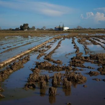 fotonoticia_20250814114942_1920