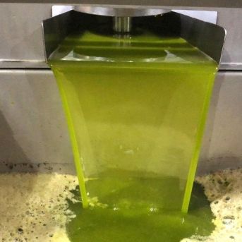 fotonoticia_20250814164618_1920