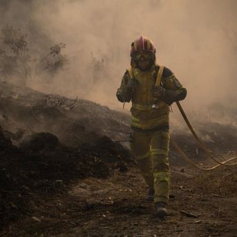 fotonoticia_20250815143438_1920 fotonoticia_20250815143438_1920