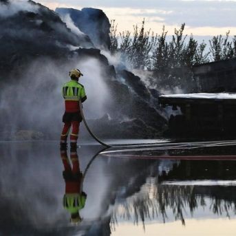 fotonoticia_20250815141933_1920