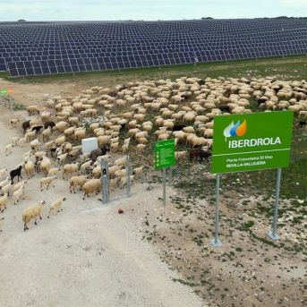 fotonoticia_20250816111347_1920