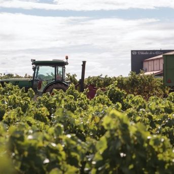 fotonoticia_20250818114626_1920