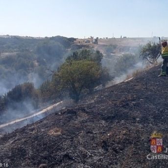 fotonoticia_20250819113712_1920 fotonoticia_20250819113712_1920