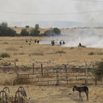 fotonoticia_20250819130931_1920