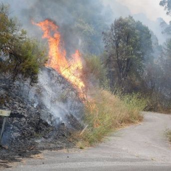 fotonoticia_20250819140256_1920