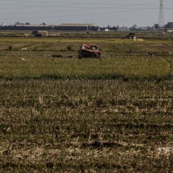 fotonoticia_20250819144556_1920