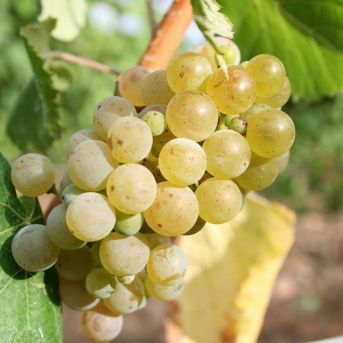 fotonoticia_20250819142211_1920