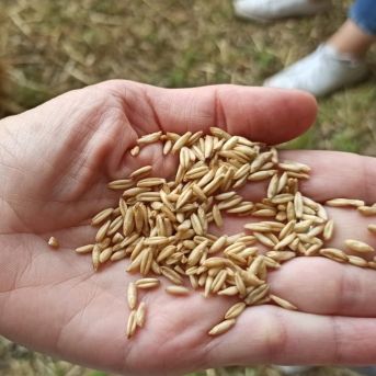 fotonoticia_20250819175859_1920