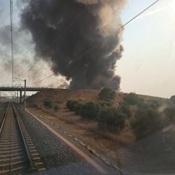 fotonoticia_20250819194200_1920