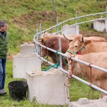 fotonoticia_20250820103500_1920