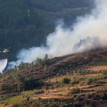 fotonoticia_20250820113014_1920