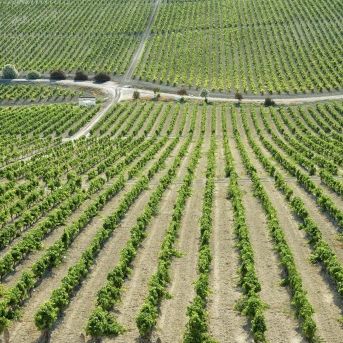 fotonoticia_20250820123243_1920