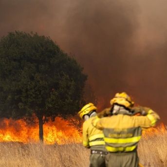 fotonoticia_20250820143633_1920