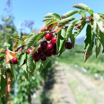 fotonoticia_20250820143054_1920