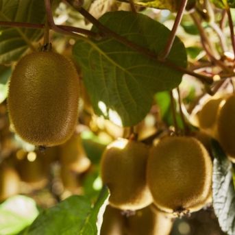 fotonoticia_20250820165726_1920