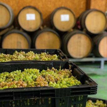 fotonoticia_20250820180752_1920