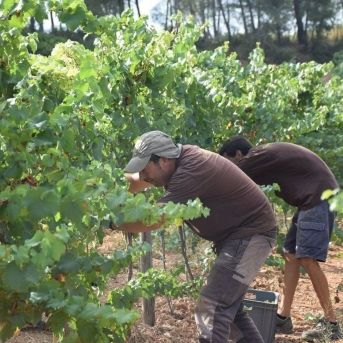 fotonoticia_20250820181757_1920 fotonoticia_20250820181757_1920