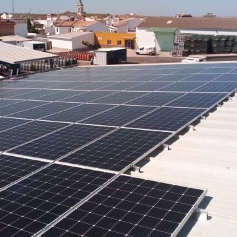 fotonoticia_20250821123007_1920 fotonoticia_20250821123007_1920