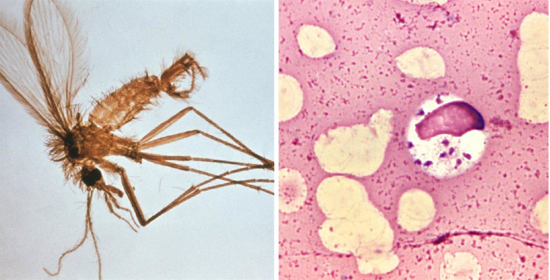 fotonoticia_20250821131830_1920 fotonoticia_20250821131830_1920