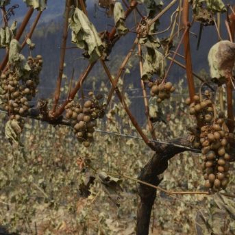 fotonoticia_20250821132516_1920 fotonoticia_20250821132516_1920