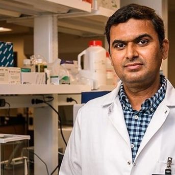 fotonoticia_20250821134149_1920