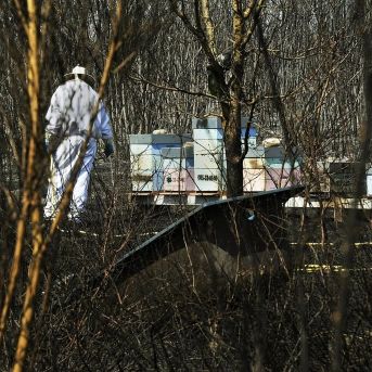 fotonoticia_20250821134527_1920 fotonoticia_20250821134527_1920