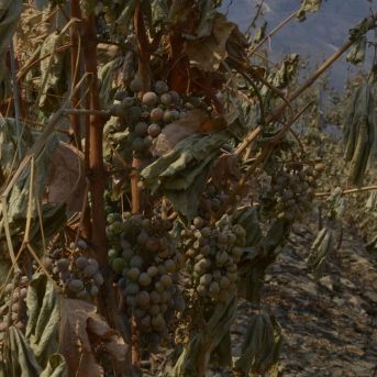 fotonoticia_20250821163209_1920 fotonoticia_20250821163209_1920