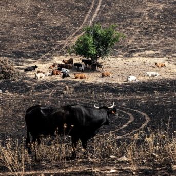 fotonoticia_20250822172854_1920 fotonoticia_20250822172854_1920