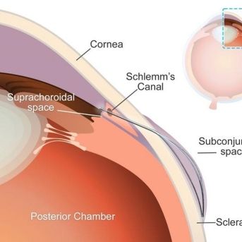 fotonoticia_20250822173043_1920