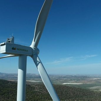 fotonoticia_20250824113052_1920 fotonoticia_20250824113052_1920