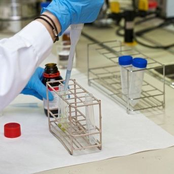 fotonoticia_20250825093511_1920 fotonoticia_20250825093511_1920