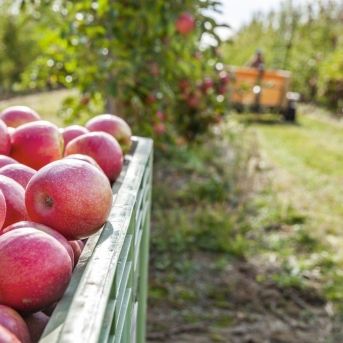 fotonoticia_20250825170406_1920