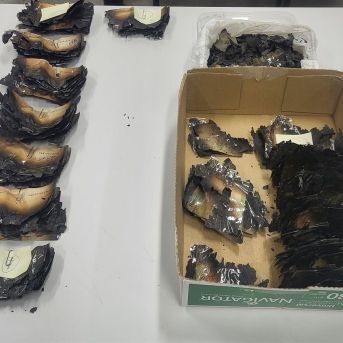 fotonoticia_20250826163759_1920