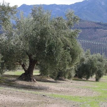 fotonoticia_20250827110324_1920