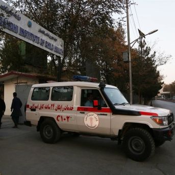 fotonoticia_20250827111359_1920 fotonoticia_20250827111359_1920